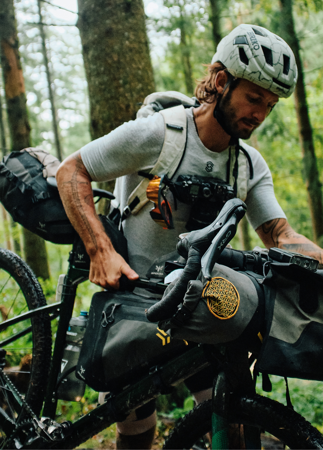 Briko: Briko x Esplora.cc | Foresta Nera     