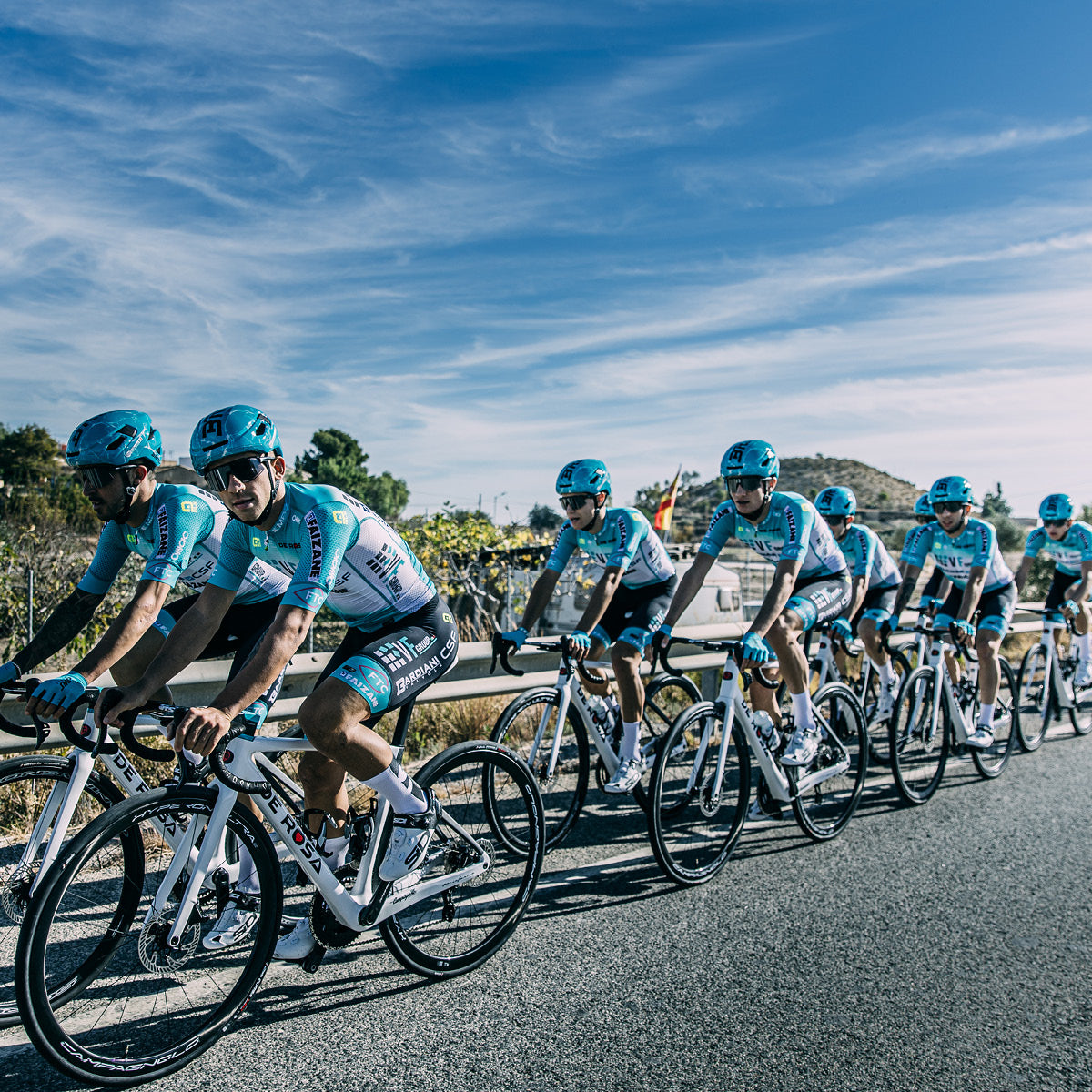 VF Group Bardiani CSF Faizanè